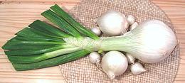 White Onions