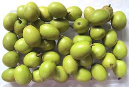 Bowl of Ceylon Olive Fruit