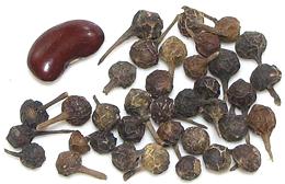 Cubeb Pepper Seeds