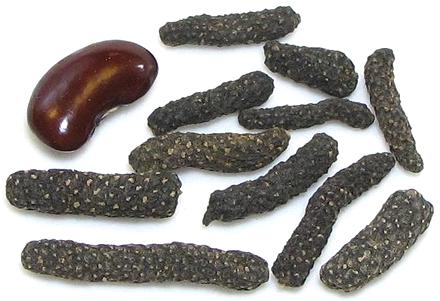 Dried Indian Long Pepper Seed Heads