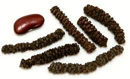 Ethiopian Long Pepper Seed Spikes