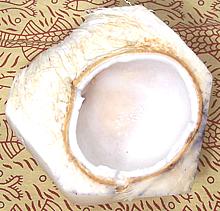 Split Nut