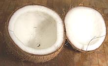 Whole Coconut Broken Open