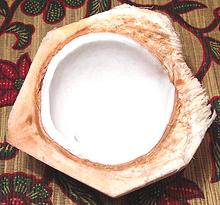 Split Nut