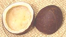 Dry Coconut Halves