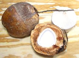 Whole and Split Fresh Young Coconut