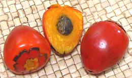 Peach Palm Fruit cuta and whole