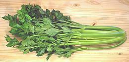 Untrimmed