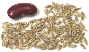 Cumin Seeds