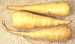 Roots