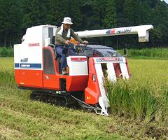 Japanese Rice Harvester