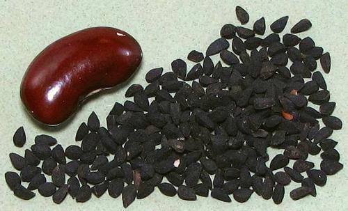 Nigella Seeds, whole