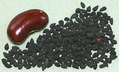 Tiny black seeds