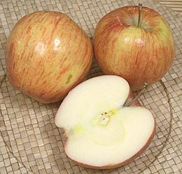 Cameo Apples whole and cut