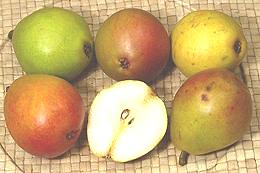 Seckel Pears whole and cut