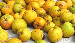 Whole Fruits