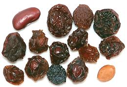 Dried Cherry Plums