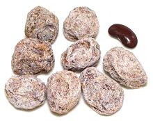 Dried Plums, whole