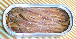 Open Can of Anchovy Fillets