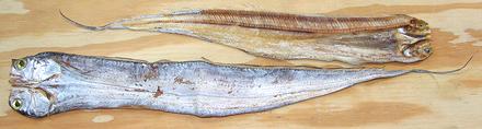 Split and Dried Beltfish
