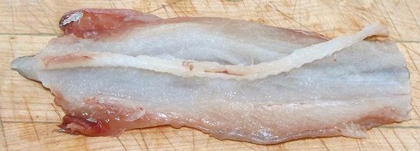 Fish: Backbone cut loose