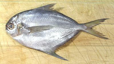 Whole Star Butterfish