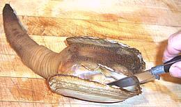 Remove shell