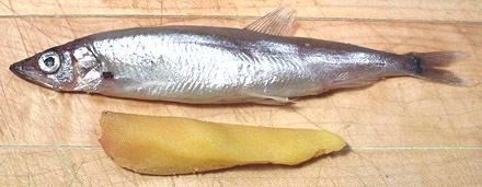 Whole Capelin and Roe