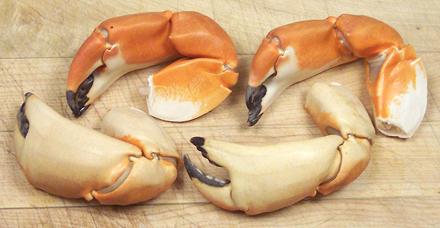 Cooked Stone Crab Claws