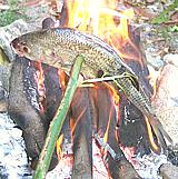 Cooking a Fish on a Stick over a Fire