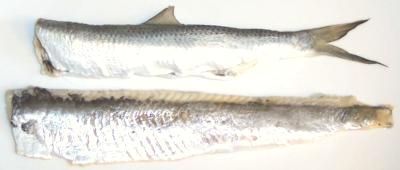 Herring