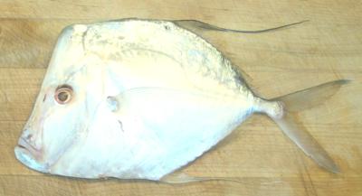 Moonfish