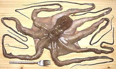 Cooking Large Octopus,Rum Runner Drink Menu