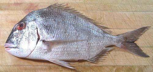 Whole Red Seabream