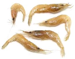 Four Paddy Shrimp