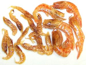 Shrimp