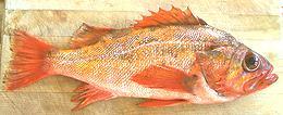 Whole Fish