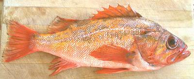 Whole Fish