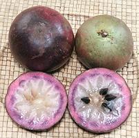 Whole an cut Purple Star Apple Fruit