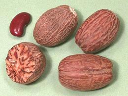 Image result for PALA,NUTMEG