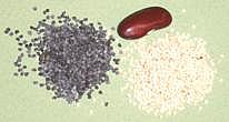 seeds