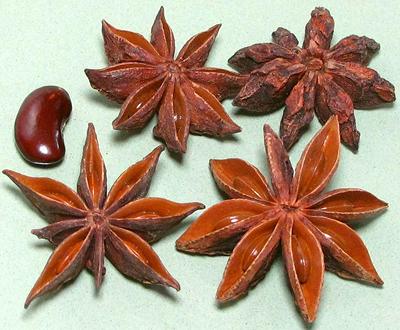 Star Anise Seed Pods