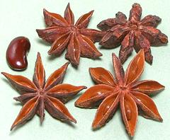 Star Anise Seed Pods