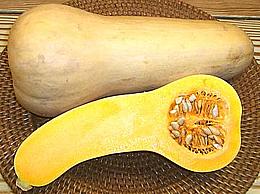 Butternut Squash
