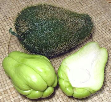 Prickly and Smooth Chayote