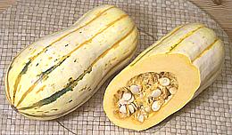 Delicata Squash