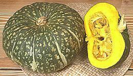 Kabocha Squash