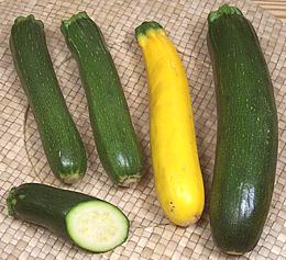 Zucchini Squash