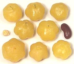 Star Gooseberries