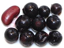 Ripe Blackcurrant Berries